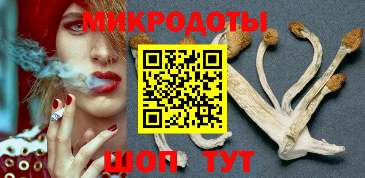 Псилоцибиновые грибы MAGIC MUSHROOMS  Галлюциногенные грибы Psilocybine cubensis  Балабаново  Вход с VPN 